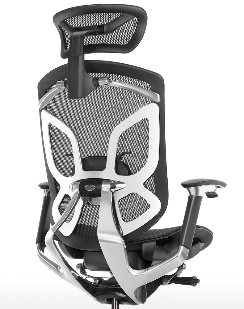 Ghế công thái học