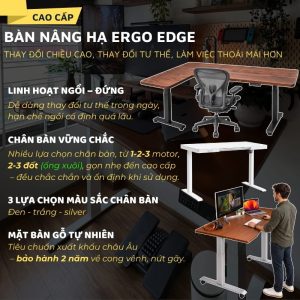 Bàn nâng hạ Ergo Edge với nhiều lựa chọn chân và mặt bàn