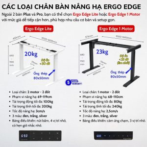 Chân bàn nâng hạ Ergo Edge Lite và 1 Motor