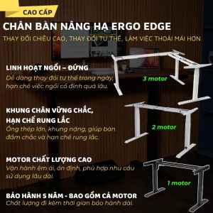 Chân bàn nâng hạ Ergo Edge 1 motor, 2 motor và 3 motor