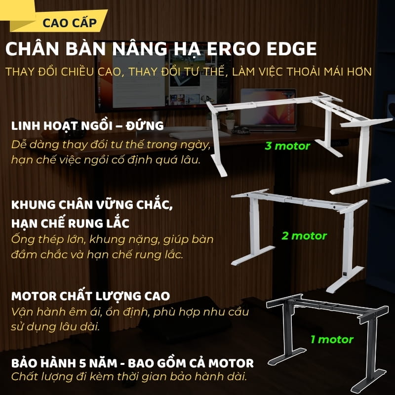 Chân bàn nâng hạ Ergo Edge 1 motor, 2 motor và 3 motor