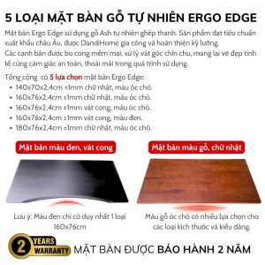 Các kích thước và kiểu dáng mặt bàn gỗ tự nhiên Ergo Edge