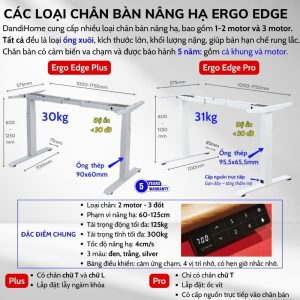 Chân bàn nâng hạ Ergo Edge Plus và Pro