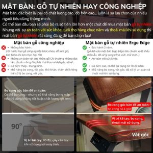 So sánh mặt bàn gỗ tự nhiên Ergo Edge và mặt bàn gỗ công nghiệp