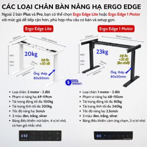 Chân bàn nâng hạ Ergo Edge Lite và 1 Motor