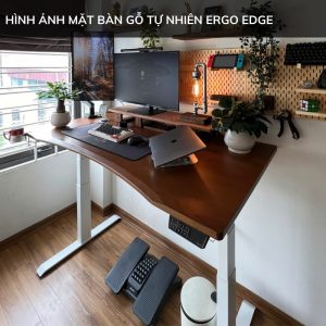 Bàn nâng hạ sử dụng mặt gỗ tự nhiên Ergo Edge màu óc chó