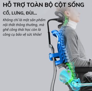 Ghế công thái học cao cấp bảo vệ cột sống