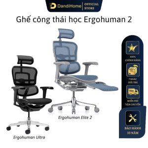 ghe-cong-thai-hoc-ergohuman-chinh-hang-comfortseating (2)