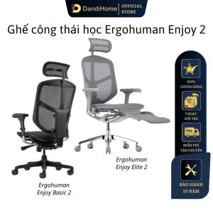 ghe-cong-thai-hoc-ergohuman-enjoy-elite-basic-2 (1)-min