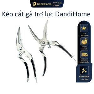 keo-cat-ga-dandihome-lien-khoi-tro-luc-2024 (1)