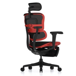 ergohuman gaming x9 (6)-min