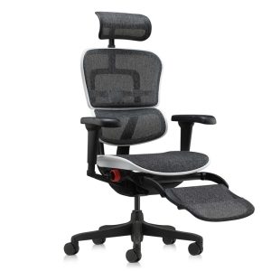 ergohuman gaming x9 (6)-min
