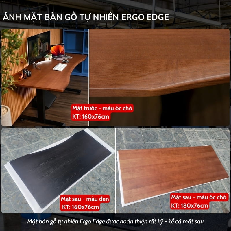 Mặt bàn gỗ tự nhiên Ergo Edge cho bàn nâng hạ